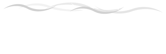 Peninsula Disc and Nerve Center